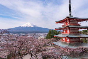 Tokyo: tour del Monte Fuji e del lago Kawaguchiko senza pranzo