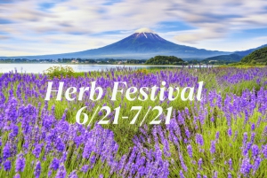 Tokyo: tour del Monte Fuji e del lago Kawaguchiko senza pranzo