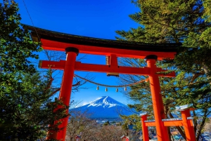 Tokyo: tour del Monte Fuji e del lago Kawaguchiko senza pranzo