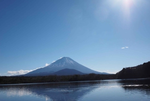 Tokyo: tour del Monte Fuji e del lago Kawaguchiko senza pranzo