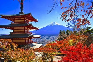 Tokyo: tour del Monte Fuji e del lago Kawaguchiko senza pranzo