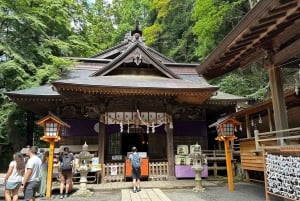 Tokyo: tour del Monte Fuji e del lago Kawaguchiko senza pranzo