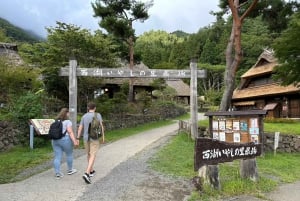 Tokyo: tour del Monte Fuji e del lago Kawaguchiko senza pranzo