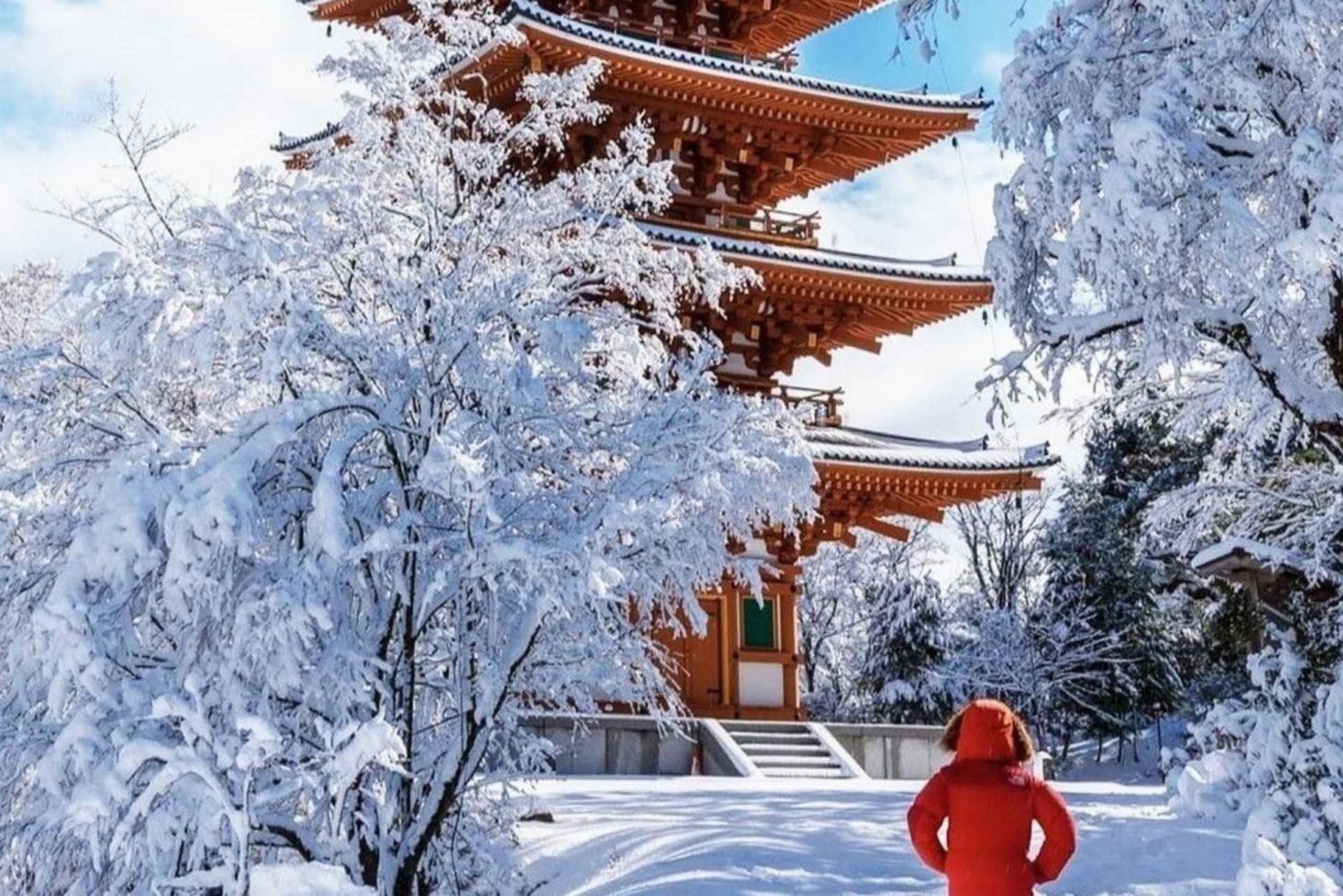 Токио: однодневный частный тур по лучшим достопримечательностям Фудзиямы