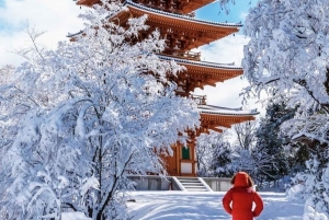 Токио: однодневный частный тур по лучшим достопримечательностям Фудзиямы