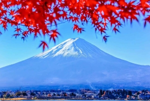 Токио: однодневный частный тур по лучшим достопримечательностям Фудзиямы