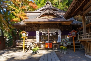 Токио: однодневный частный тур по лучшим достопримечательностям Фудзиямы