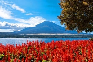 Tokyo: Mt. Fuji, Oshino Hakkai, Kawaguchi Lake 1-Day Trip