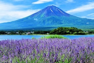 Tokyo: Mt. Fuji, Oshino Hakkai, Kawaguchi Lake 1-Day Trip