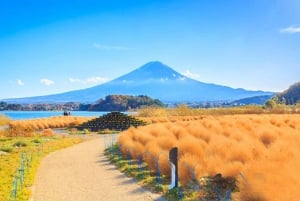 Tokyo: Mt. Fuji, Oshino Hakkai, Kawaguchi Lake 1-Day Trip