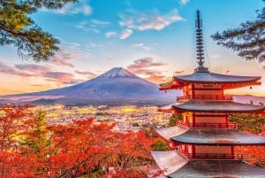 Tokyo: Mt. Fuji, Oshino Hakkai, Kawaguchi Lake 1-Day Trip