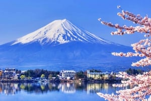 Tokyo: Mt. Fuji, Oshino Hakkai, Kawaguchi Lake 1-Day Trip