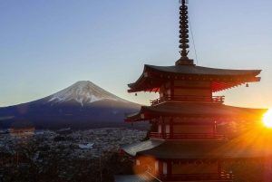 Tokio: Monte Fuji y Hakone Viaje Privado Guiado a Medida