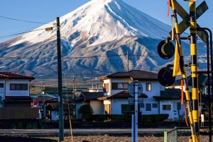 Tokio: Monte Fuji y Hakone Viaje Privado Guiado a Medida