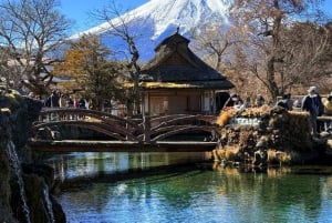 Tokyo: Mt Fuji Private Day Tour By English Driver Low Price