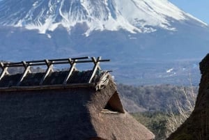 Tokyo: Mt Fuji Private Day Tour By English Driver Low Price