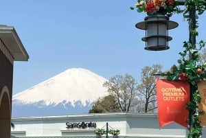 Tokyo: Mt Fuji Private Day Tour By English Driver Low Price