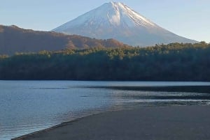 Tokyo: Mt Fuji Private Day Tour By English Driver Low Price