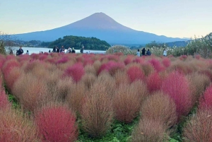 Tokyo: Mt Fuji Private Day Tour By English Driver Low Price