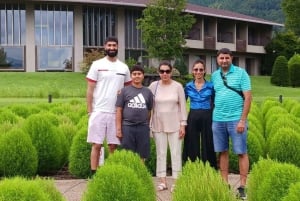 Tokyo: Mt Fuji Private Day Tour By English Driver Low Price