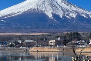 Tokyo: Mt Fuji Private Day Tour By English Driver Low Price