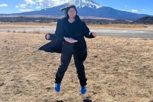 Tokyo: Mt Fuji Private Day Tour By English Driver Low Price