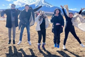 Tokyo: Mt Fuji Private Day Tour By English Driver Low Price