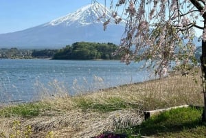 Tokyo: Mt Fuji Private Day Tour By English Driver Low Price