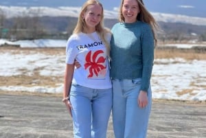 Tokyo: Mt Fuji Private Day Tour By English Driver Low Price