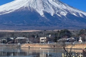Tokyo: Mt Fuji Private Day Tour By English Driver Low Price