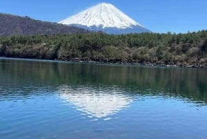Tokyo: Mt Fuji Private Day Tour By English Driver Low Price