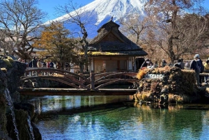 Tokyo: Fuji-bjerget Privat tur med engelsk chauffør til lav pris