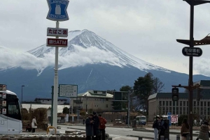 Tokyo: Fuji-bjerget Privat tur med engelsk chauffør til lav pris