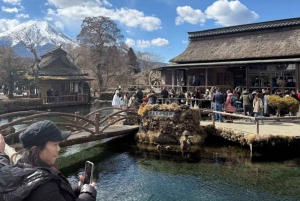 Tokyo: Fuji-bjerget Privat tur med engelsk chauffør til lav pris