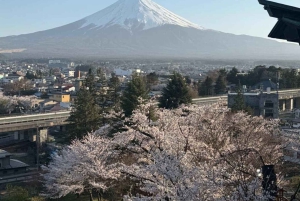 Tokyo: Fuji-bjerget Privat tur med engelsk chauffør til lav pris