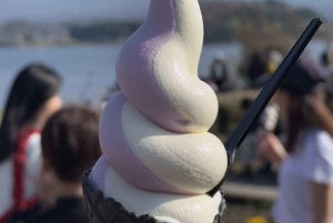 Tokyo: Fuji-bjerget Privat tur med engelsk chauffør til lav pris