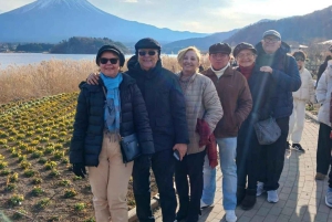 Tokyo: Fuji-bjerget Privat tur med engelsk chauffør til lav pris