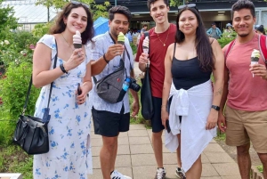 Tokyo: Fuji-bjerget Privat tur med engelsk chauffør til lav pris