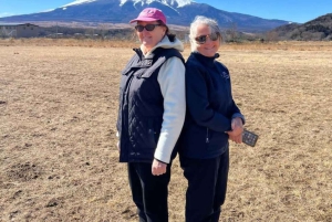 Tokyo: Fuji-bjerget Privat tur med engelsk chauffør til lav pris