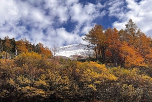 Tokyo: Mt Fuji Private Day Tour with English-Speaking Driver