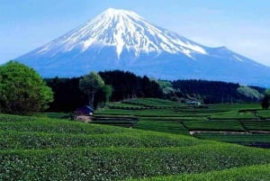 Tokyo: Mt Fuji Private Day Tour with English-Speaking Driver