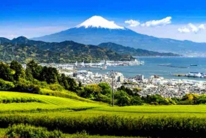 Tokyo: Mt Fuji Private Day Tour with English-Speaking Driver