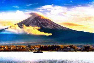 Tokyo: Mt Fuji Private Day Tour with English-Speaking Driver