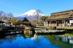 FromTokyo Mount Fuji Private Full Day Trip with Hotel Pickup