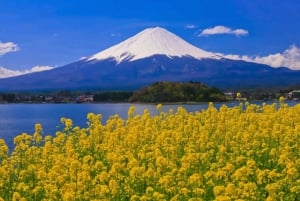 FromTokyo Mount Fuji Private Full Day Trip with Hotel Pickup