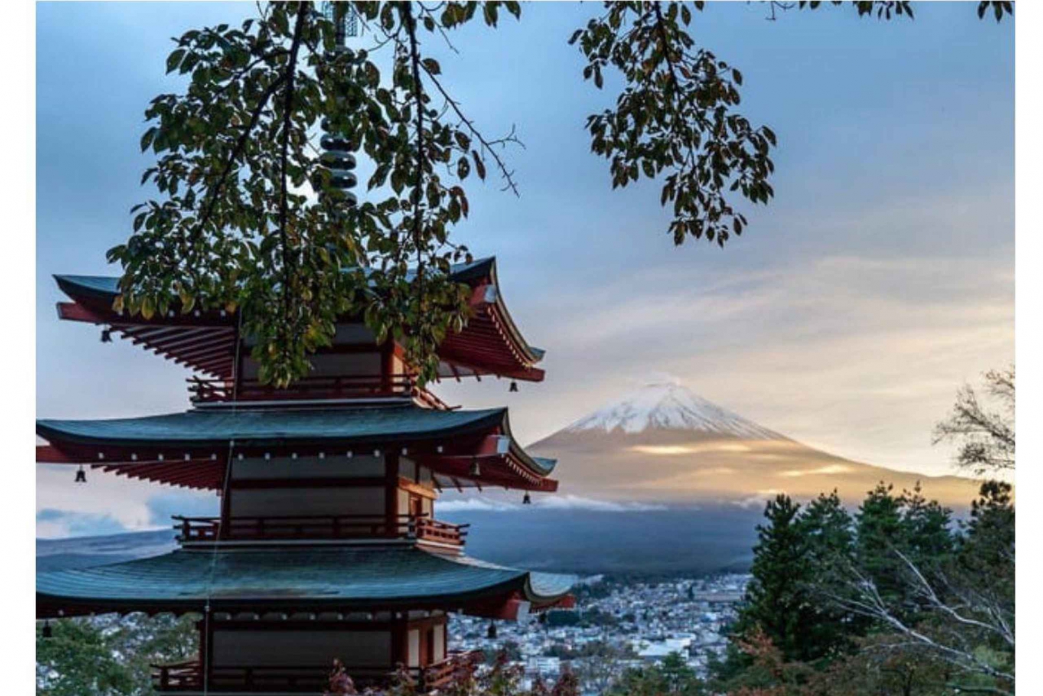Mount Fuji Full Day Private Tour from Tokyo Full Customized