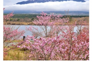 Tour privado de día completo al monte Fuji desde Tokio, totalmente personalizada.