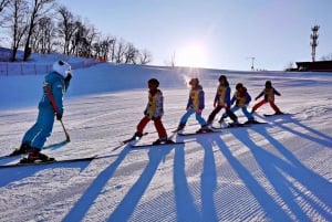 Tokyo: Mt Fujiyama Snow Resort and Onzen Day Trip w/Pickup