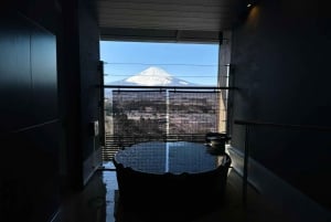 Tokyo: Mt Fujiyama Snow Resort and Onzen Day Trip w/Pickup