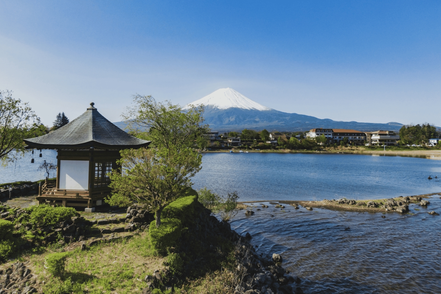 Tokyo : Mt. Fuji Skyline JDM Car Driving Tour from Tokyo